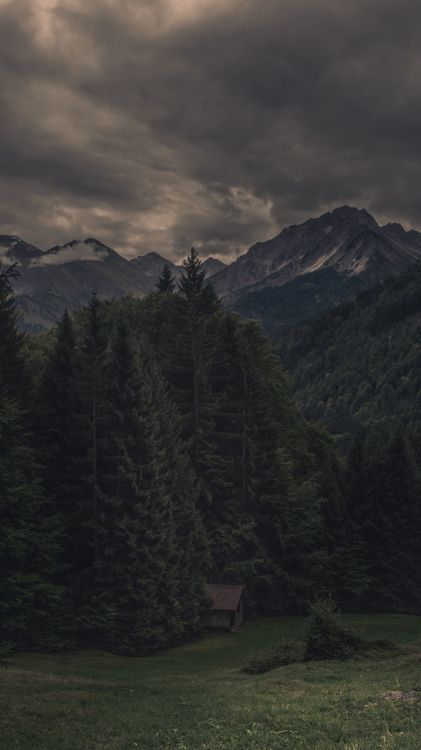 Обои нагорье, облако, растение, гора, дерево в разрешении 1080x1920